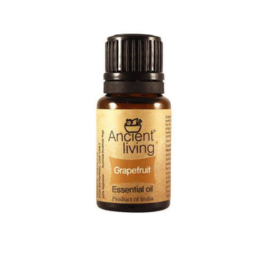 https://cdn.shopify.com/s/files/1/1857/6931/files/w976spjLPE-908908.jpg?v=1736147456